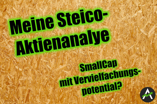 Wird sich die Steico-Aktie in den nächsten 10 Jahren nochmal vervierfachen?