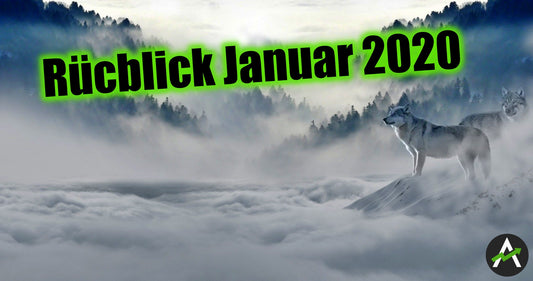 Rückblick Januar – was lief gut, was ging in die Hose?