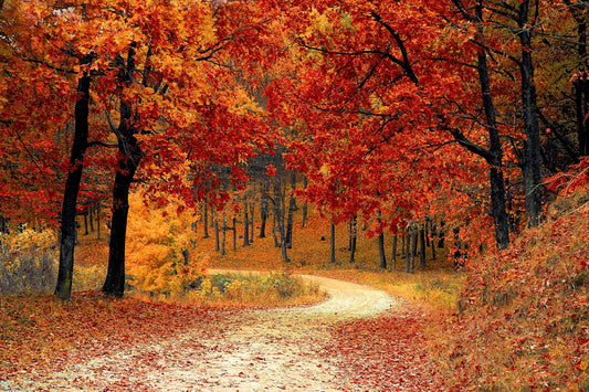 Cashflow-Bericht Oktober: Wenig Dividende, hohe Immobilien-Cashflows